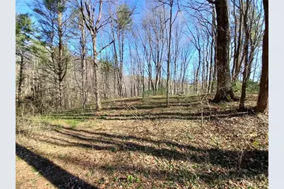 Tbd Ed Vanover Road, Creston, NC 28615 - Photo 6
