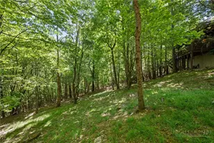 349 Wildcat Estates Dr, Deep Gap, NC 28618 - Photo 30