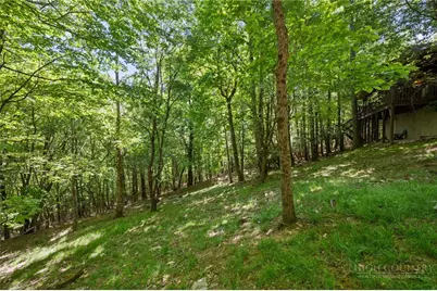 349 Wildcat Estates Drive, Deep Gap, NC 28618 - Photo 30