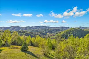 5939 Big Laurel Rd, Creston, NC 28615 - Photo 6