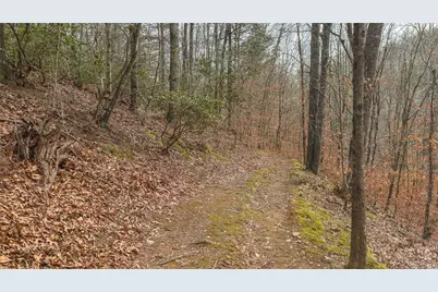 0 Foster Oliver Lane, Lansing, NC 28643 - Photo 28