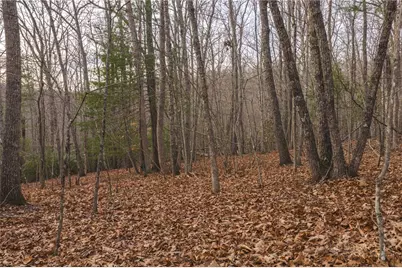 0 Foster Oliver Lane, Lansing, NC 28643 - Photo 22
