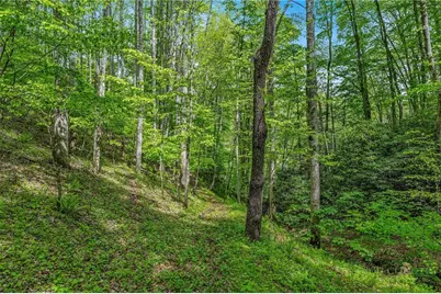204 Mountain Side Lane, Crumpler, NC 28617 - Photo 36