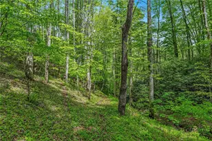 204 Mountain Side Ln, Crumpler, NC 28617 - Photo 36