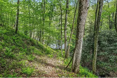 204 Mountain Side Lane, Crumpler, NC 28617 - Photo 38