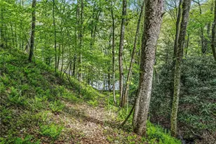 204 Mountain Side Ln, Crumpler, NC 28617 - Photo 38