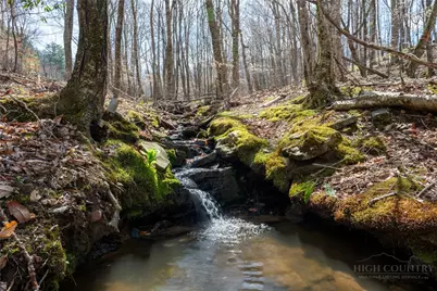 Lot 36 Poplar Forest Drive, Boone, NC 28607 - Photo 2