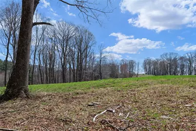 Lot 36 Poplar Forest Drive, Boone, NC 28607 - Photo 8