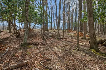 Lot 36 Poplar Forest Drive, Boone, NC 28607 - Photo 10