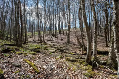 Lot 36 Poplar Forest Drive, Boone, NC 28607 - Photo 12