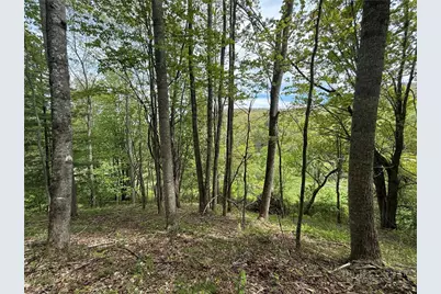 Tbd Spice Creek Road, Banner Elk, NC 28604 - Photo 8
