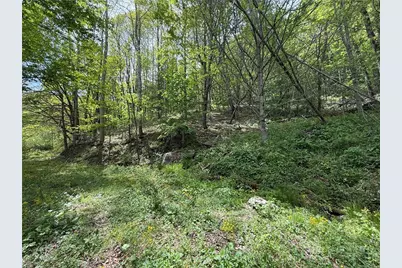 Tbd Spice Creek Road, Banner Elk, NC 28604 - Photo 6