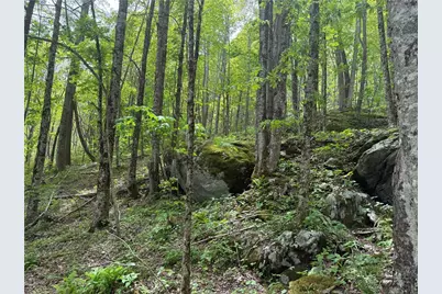 Tbd Spice Creek Road, Banner Elk, NC 28604 - Photo 10