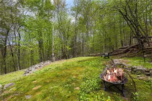 259 Greenbriar Rd, Beech Mountain, NC 28604 - Photo 34