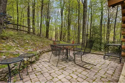 259 Greenbriar Road, Beech Mountain, NC 28604 - Photo 34