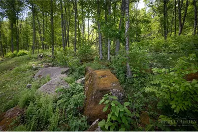 Es-15 Eagles Feather Trail, Banner Elk, NC 28604 - Photo 22