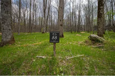 Es-88 Lands End Trail, Beech Mountain, NC 28604 - Photo 12