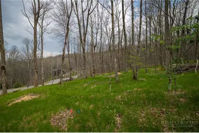 Es-88 Lands End Trail, Beech Mountain, NC 28604 - Photo 6