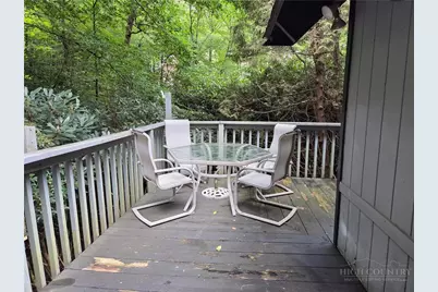 109 Shagbark Road, Beech Mountain, NC 28604 - Photo 48