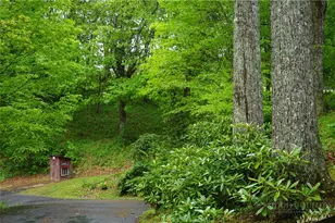 557 White Pine Rd, Newland, NC 28657 - Photo 38