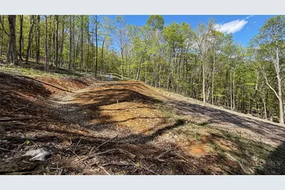 Tbd Maple Leaf Road, West Jefferson, NC 28694 - Photo 8