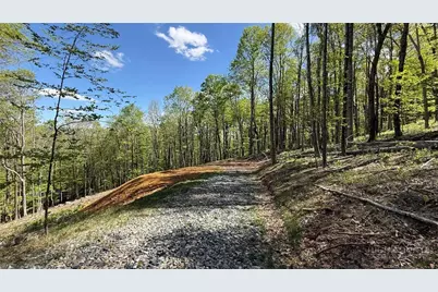 Tbd Maple Leaf Road, West Jefferson, NC 28694 - Photo 6