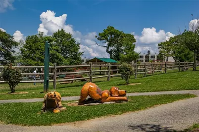 301 Pinnacle Inn Road #4103, Beech Mountain, NC 28604 - Photo 38