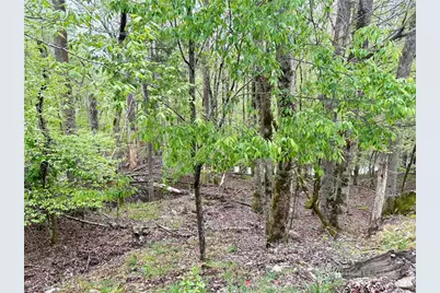 213 Lake Road, Beech Mountain, NC 28604 - Photo 2