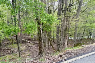 213 Lake Rd, Beech Mountain, NC 28604 - Photo 1