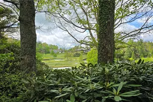 654 Goforth Rd, Blowing Rock, NC 28605 - Photo 2