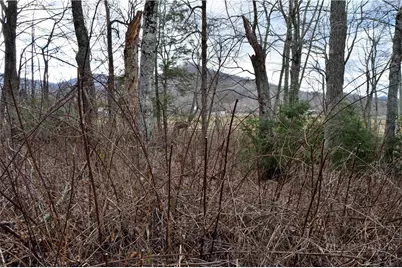 Lot 8 Pasture Lane, Banner Elk, NC 28604 - Photo 8