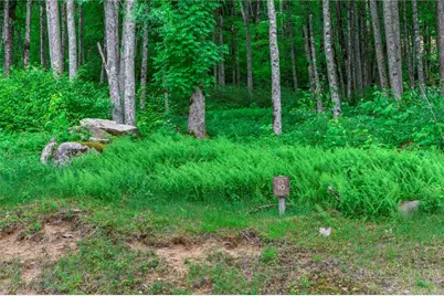 Es-10 Eagle Springs Trail, Banner Elk, NC 28604 - Photo 2