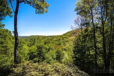 217 Eureka Hills Circle Circle, Boone, NC 28607 - Photo 14