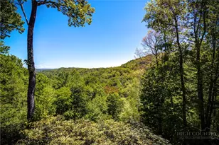 217 Eureka Hills Circle Circle, Boone, NC 28607 - Photo 14