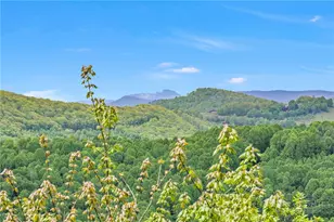 893 Tomahawk Dr, Todd, NC 28684 - Photo 2
