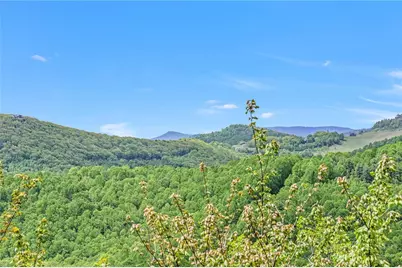 893 Tomahawk Drive, Todd, NC 28684 - Photo 46