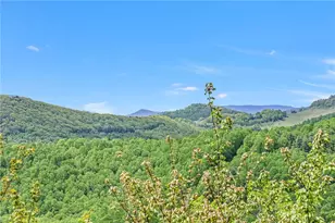 893 Tomahawk Dr, Todd, NC 28684 - Photo 46