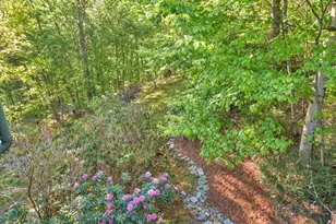 158 Fern Forest Dr, Boone, NC 28607 - Photo 44