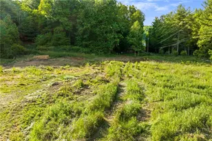 657 Lawrence Greene Rd, Deep Gap, NC 28618 - Photo 12