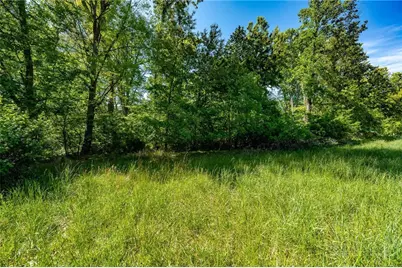 Tbd Goose Bradley Lane, Butler, TN 37640 - Photo 2