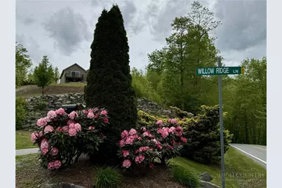 192 S Willow Ridge Lane #192, Vilas, NC 28692 - Photo 28