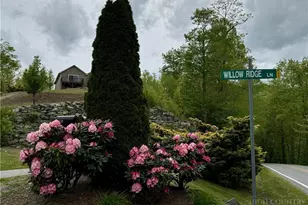 192 S Willow Ridge Ln, Vilas, NC 28692 - Photo 28