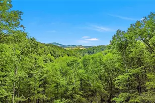 951 Woodland Shrs, Jefferson, NC 28640 - Photo 2