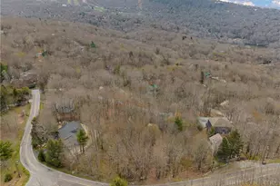 103 Upper Grouse Ridge Rd, Beech Mountain, NC 28604 - Photo 44
