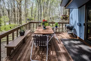 103 Upper Grouse Ridge Rd, Beech Mountain, NC 28604 - Photo 30