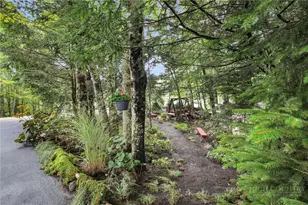 103 Upper Grouse Ridge Rd, Beech Mountain, NC 28604 - Photo 36