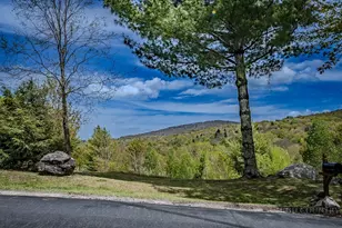 103 Upper Grouse Ridge Rd, Beech Mountain, NC 28604 - Photo 34