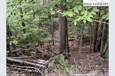 145 Raccoon Road, Beech Mountain, NC 28604 - Photo 2