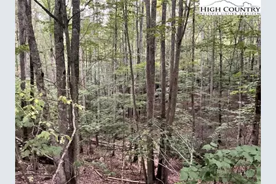 145 Raccoon Road, Beech Mountain, NC 28604 - Photo 1