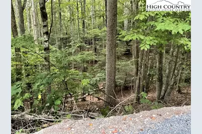 145 Raccoon Road, Beech Mountain, NC 28604 - Photo 4